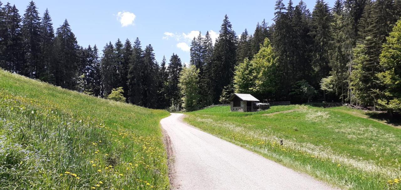 Casa Ida - Clpat 22253 Villa Tregiovo Kültér fotó
