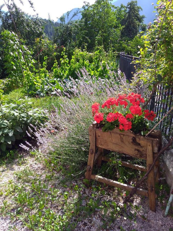 Casa Ida - Clpat 22253 Villa Tregiovo Kültér fotó